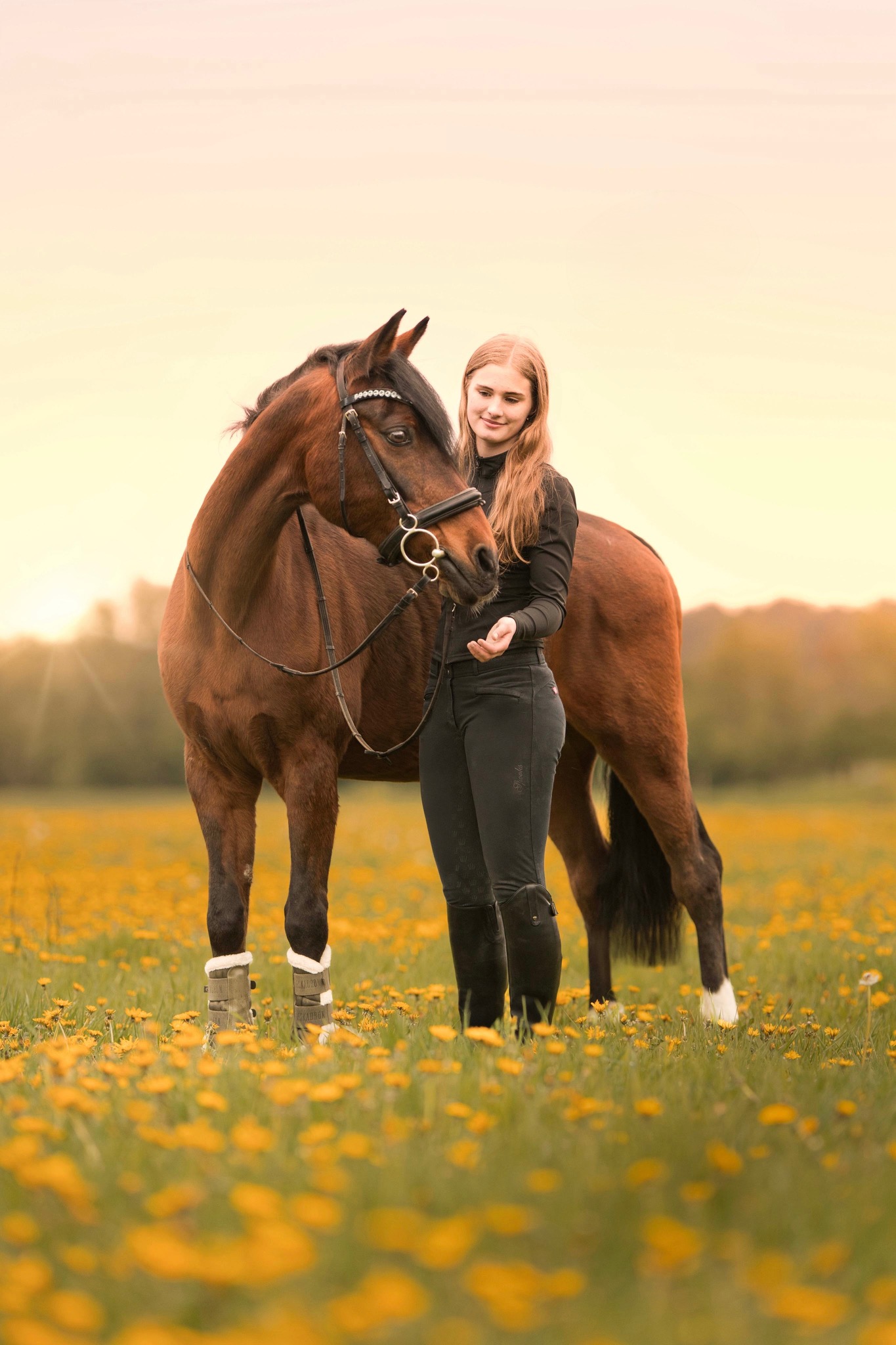 Pferd und junge Frau auf einer Blumenwiese